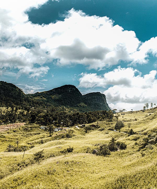 The Best of Nuwara Eliya and Hanthana