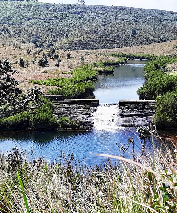 Hike at Horton Plains