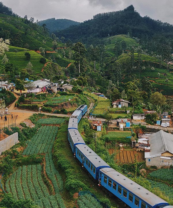 Nanu Oya Trekking Tour
