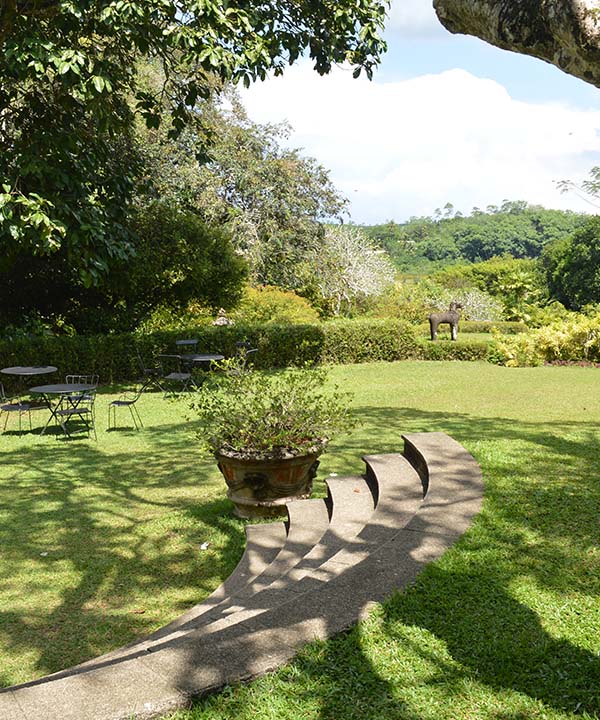 Explore the wonders of Brief Gardens